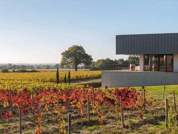 domaine_mourat_mareuil_sur_lay_570x430_0