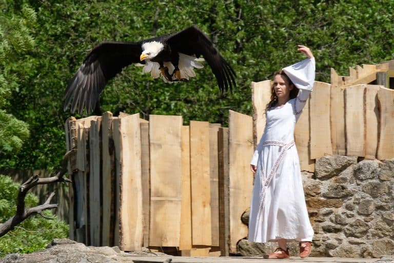 Le Bal des Oiseaux Fantômes