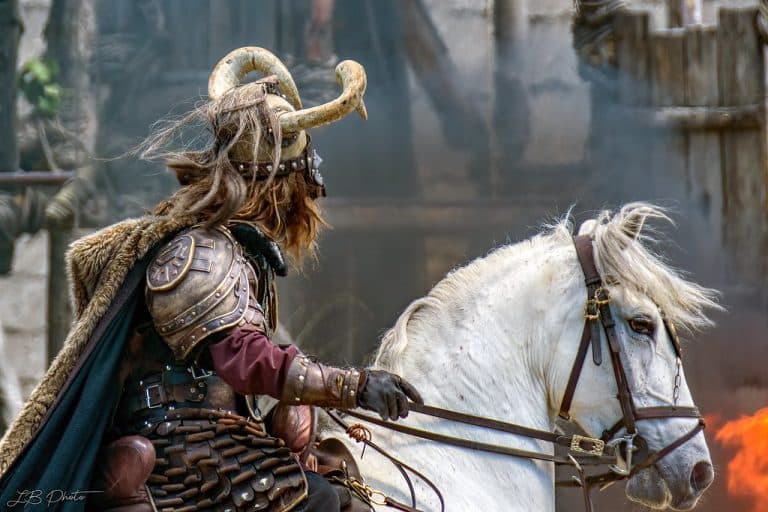 Les Vikings